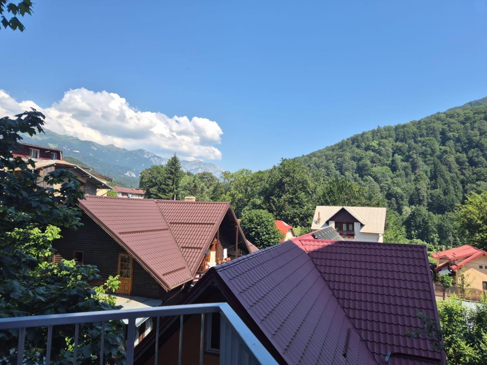 Luxroom In Greenfuture Sinaia Luaran gambar